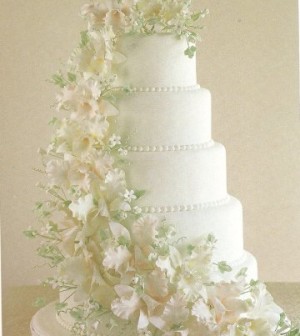 Samples of wedding cakes