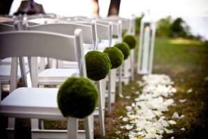 venue chairs green