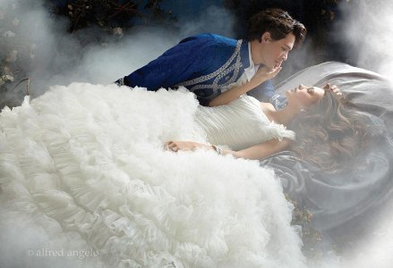 Wedding Dress - Disney Alfred Angelo Collection - 203 Sleeping Beauty 2011 | AlfredAngeloDisney Bridal Gown