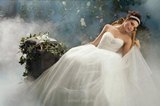 Bridal Dress: Disney Alfred Angelo Collection - 205 Cinderella 2011 