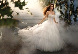 Bridal Dress: Disney Alfred Angelo Collection - 209 Cinderella Platinum 2011 