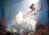 Bridal Dress: Disney Alfred Angelo Collection - 210 Ariel 2012 