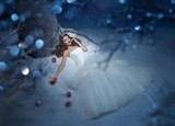 Bridal Dress: Disney Alfred Angelo Collection - 211 Snow White 2012 