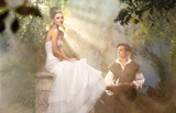 Bridal Dress: Disney Alfred Angelo Collection - 216 Cinderella 2012 