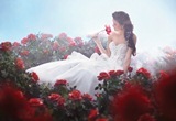 Bridal Dress: Disney Alfred Angelo Collection - 217 Belle 2012 