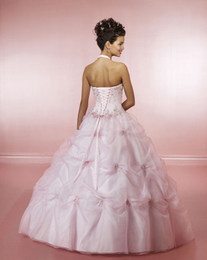 Quinceanera/Vizcaya: 81002 Organza with