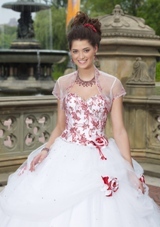 Quinceanera Dress: Quinceanera/Vizcaya: 87073 - TWO-TONE EMRBOIDERED TULLE  BOLERO JACKET INCLUDED 