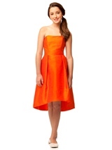 Evening Dress: Junior Bridesmaid Dresses SPRING 2013 - JR515 