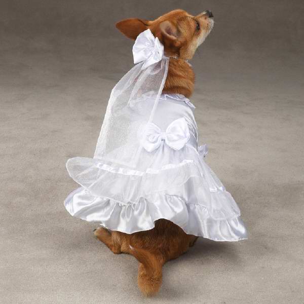 dog wedding dresses