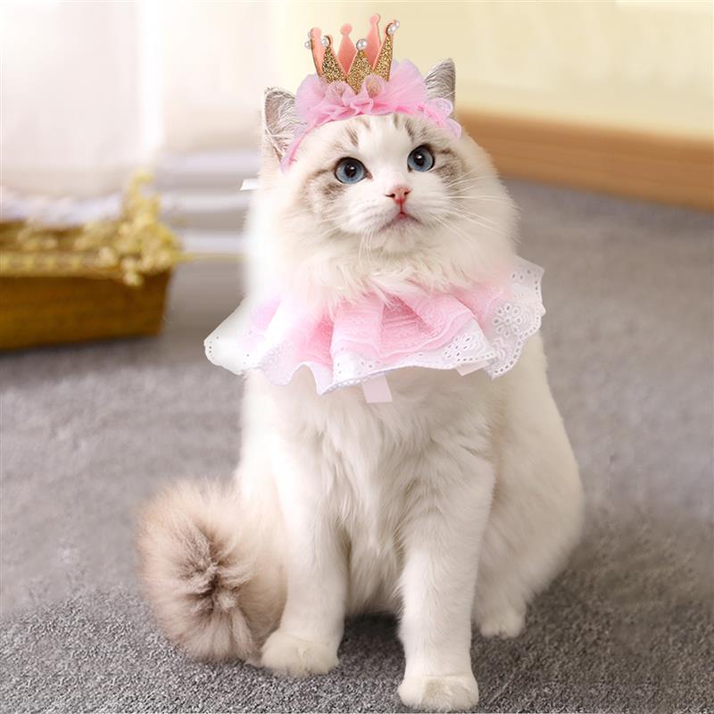 Cat Costumes for Your Wedding Pinky