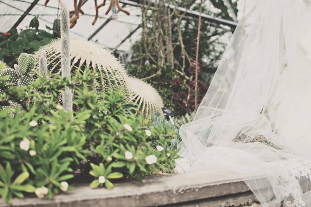 A Botanical Garden wedding