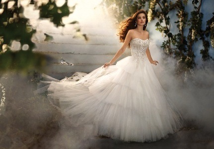 Wedding Dress - Disney Alfred Angelo Collection - 209 Cinderella Platinum 2011 | AlfredAngeloDisney Bridal Gown