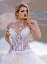 Bridal Dress: Lady Cinderella