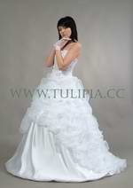 Bridal Dress: Butterfly