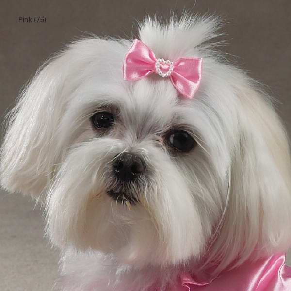 Clothes: Aria Lucy<br>Bows for Dogs<br>2-Packs