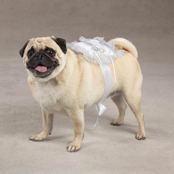 Aria<br>Ring Bearer<br>Pillows for Dogs