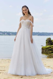 Amy & Eve Bridal Gowns